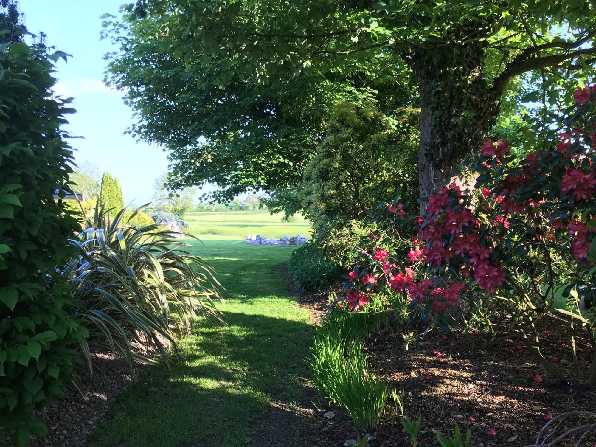 Grove House Country Rooms Shanballymore 外观 照片